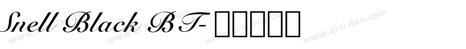 Snell Black BT字体转换